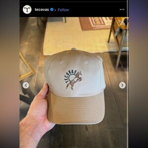 Tecovas horse hat